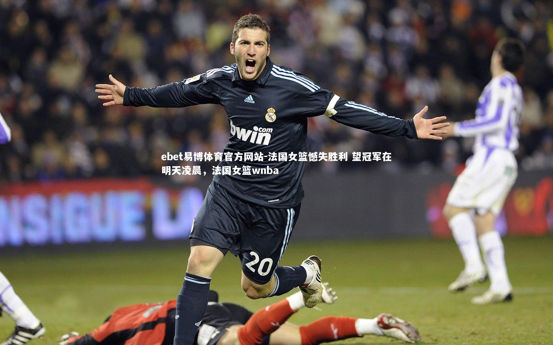 法国女篮憾失胜利 望冠军在明天凌晨，法国女篮wnba