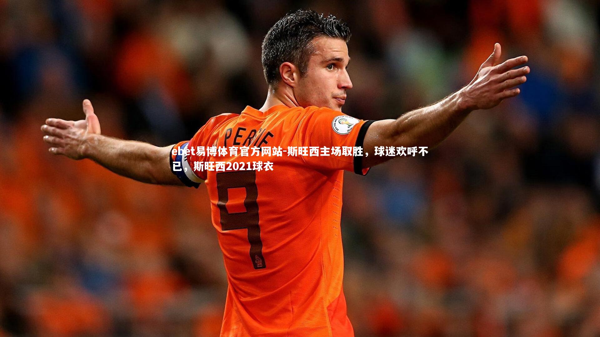 斯旺西主场取胜,球迷欢呼不已,斯旺西2021球衣