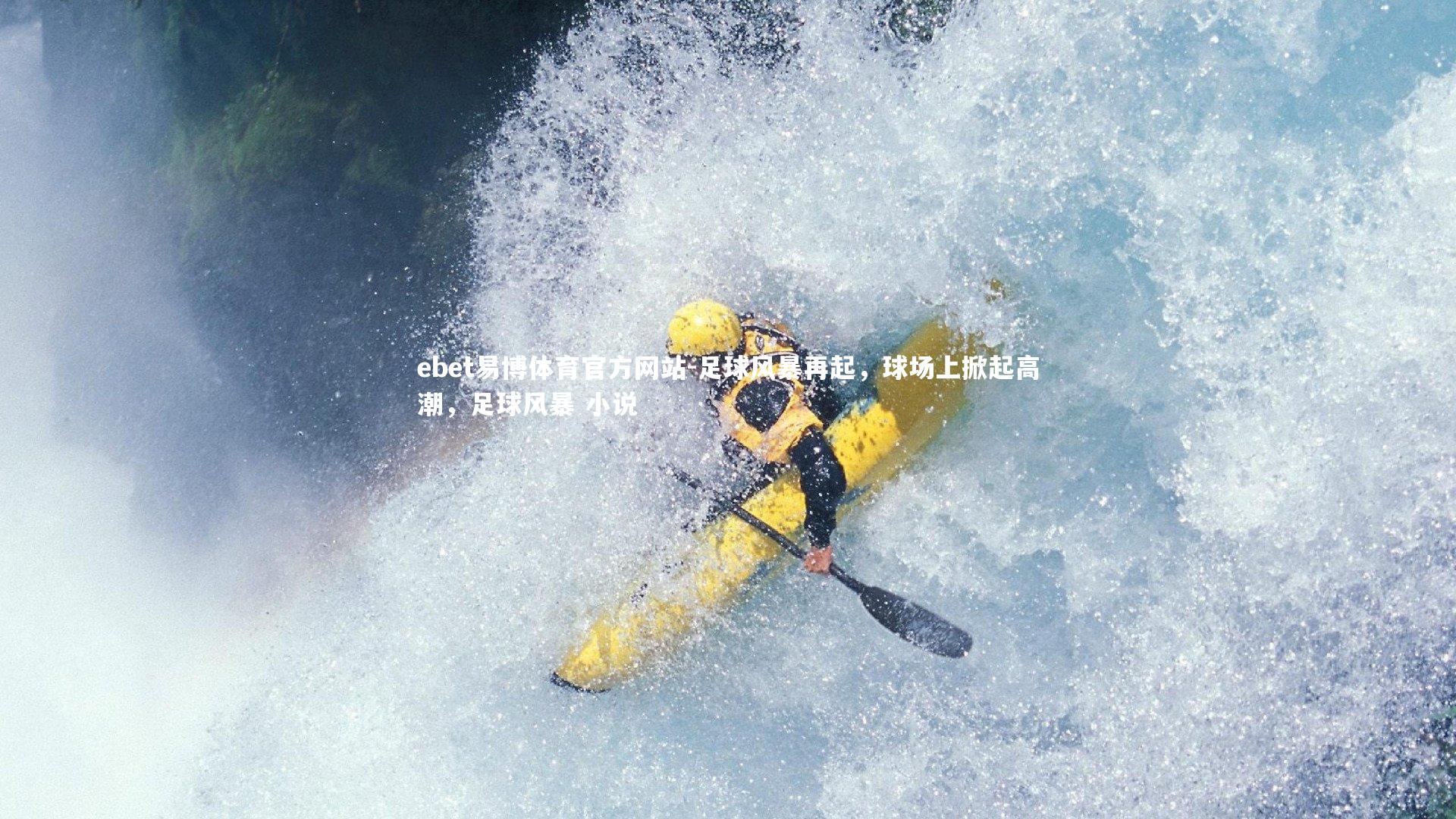 足球风暴再起，球场上掀起高潮，足球风暴 小说